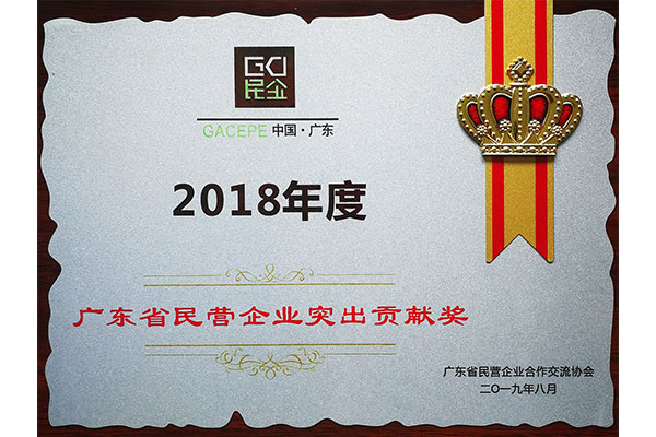 廣東省民營企業突出貢獻獎